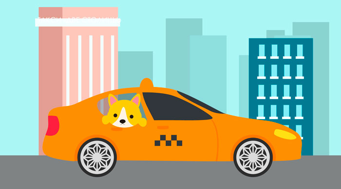 такси для животных